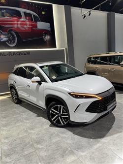 بي واي دي سونغ L DM-i